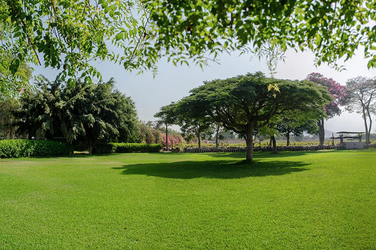 Espacios para eventos · Casa Hacienda Queirolo: vista 1